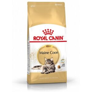 Paquet croquette royal canin adulte spécial maine coon 