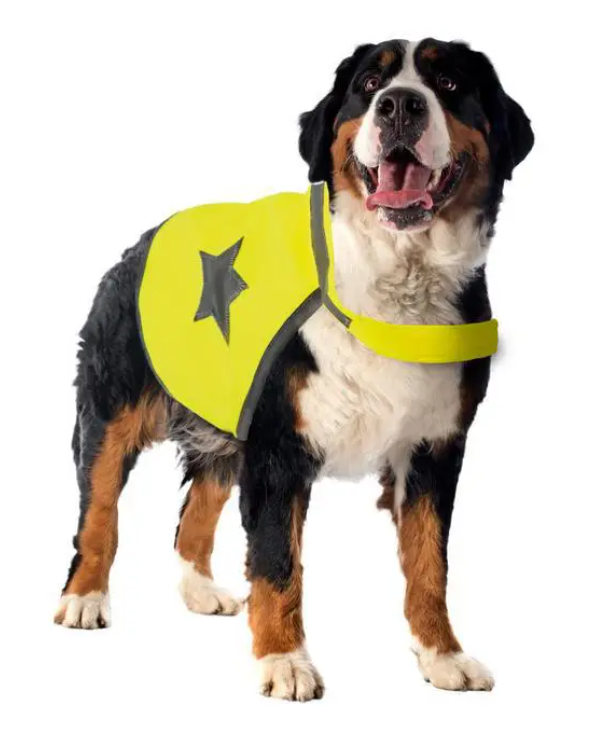 Gilet de sécurité jaune fluo pour chien 64 cm