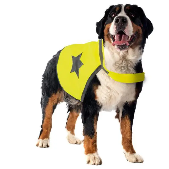 Gilet de sécurité jaune fluo pour chien